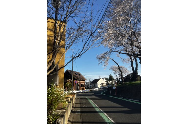 写真 2022-04-01 16 35 30