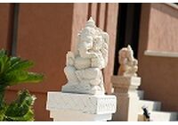 IMG_5657